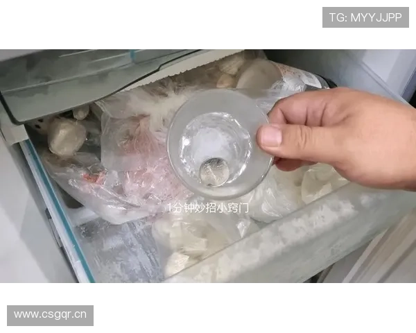 特雷·杨家的冰箱里真的只放蛋白粉和冰水？